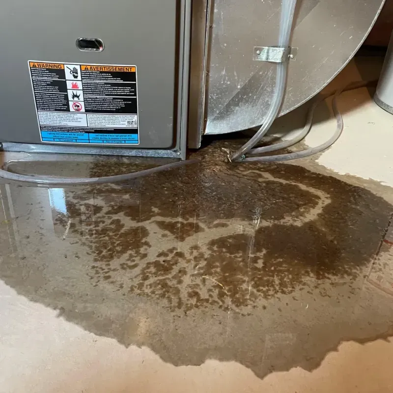 Appliance Leak Cleanup in Portsmouth, VA